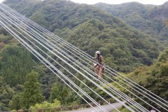 吊橋調査