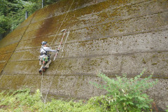 DSCN6331_s